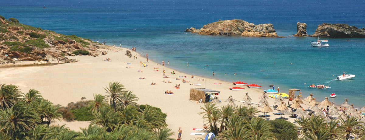 Vai Beach op Kreta is een prachtig strand met palmbomen